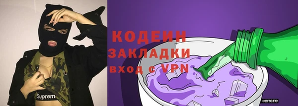 твердый Ладушкин