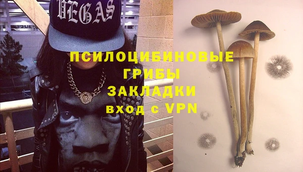 метадон Лагань