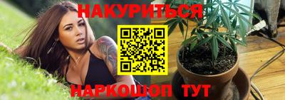 индика Гусь-Хрустальный