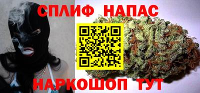 гидра Гусев