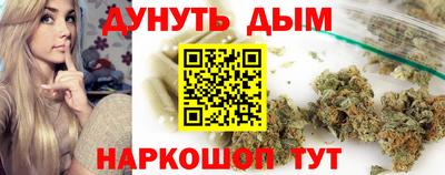 гидра Гусев