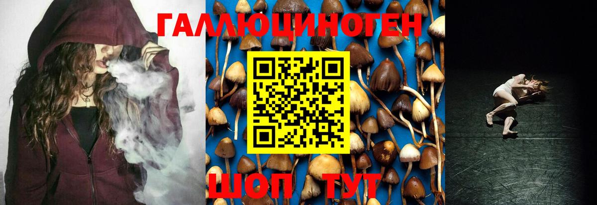 Галлюциногенные грибы Psilocybine cubensis Мелеуз